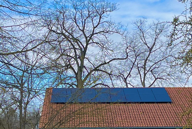 Solaranlagen und Baumschutz