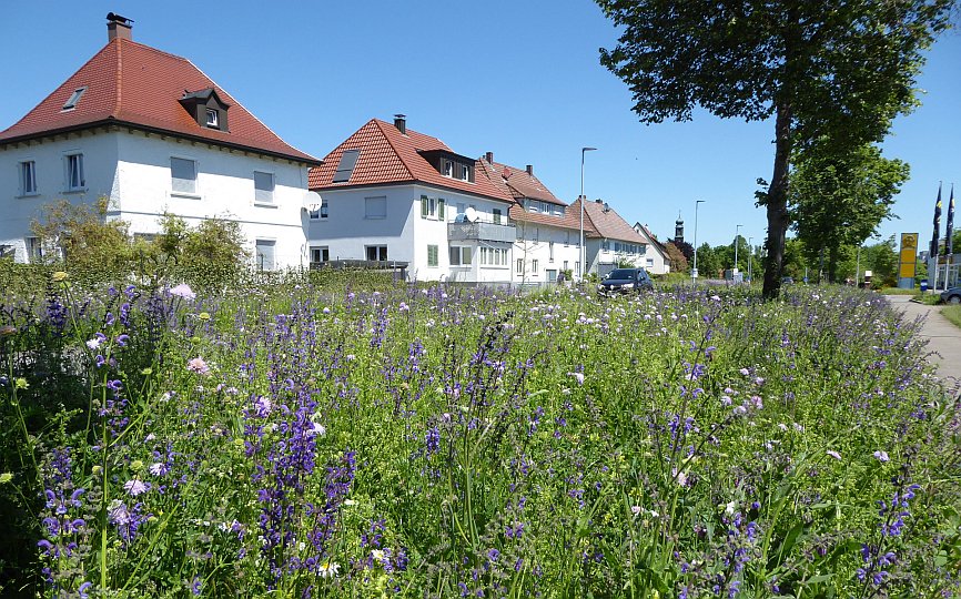 Biodiversitätskonzept Siedlungsbereich Bad Saulgau