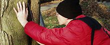 Musterdienstanweisung für Regelkontrollen von Bäumen